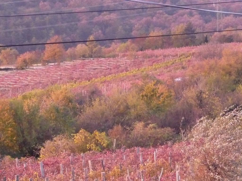 Pliskovica Rozina Vacation House מראה חיצוני תמונה