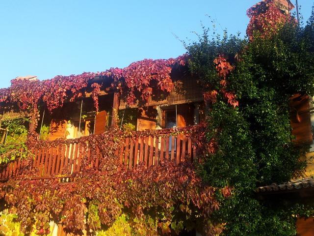 Pliskovica Rozina Vacation House מראה חיצוני תמונה